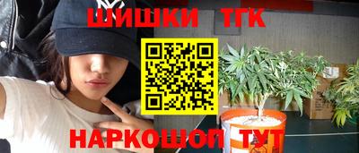 стафф Заволжье