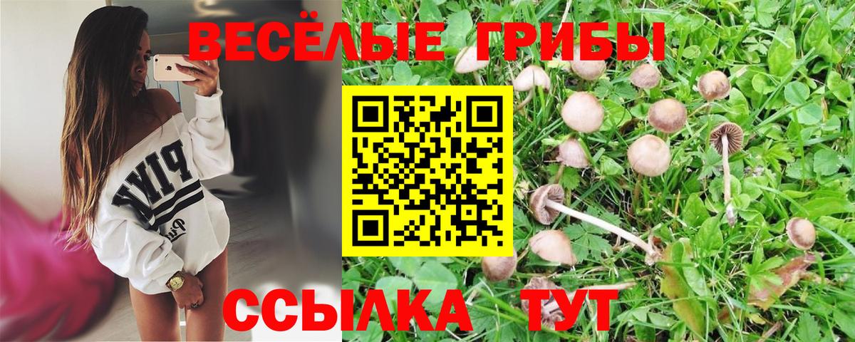 Галлюциногенные грибы GOLDEN TEACHER Менделеевск