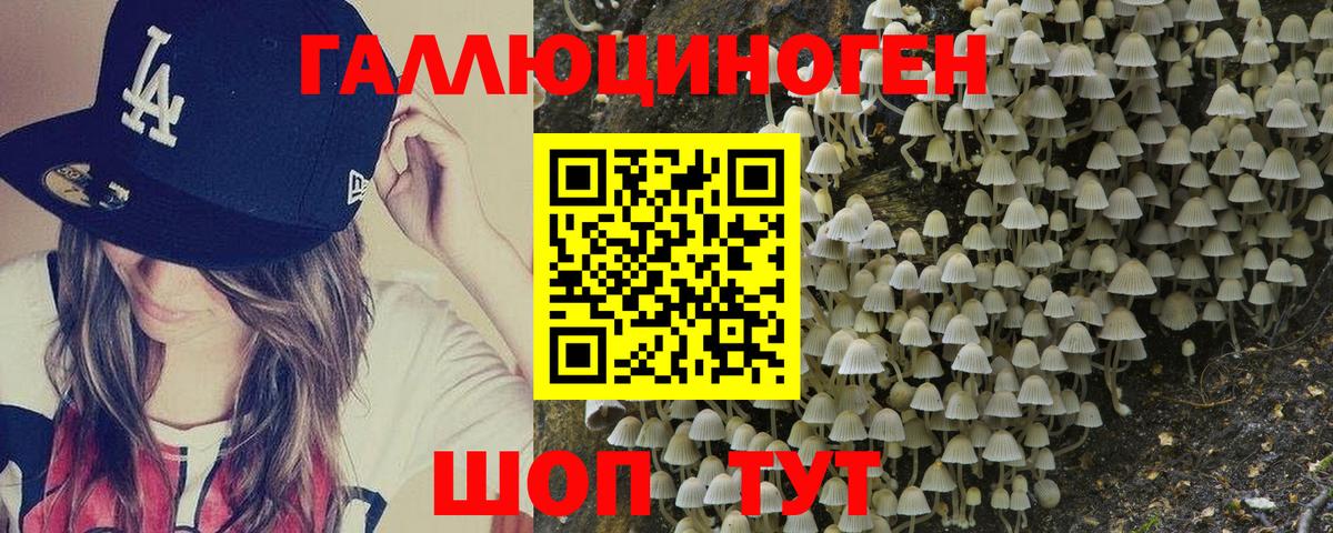 Псилоцибиновые грибы Magic Shrooms  Псилоцибиновые грибы GOLDEN TEACHER  Менделеевск  Вход с VPN 
